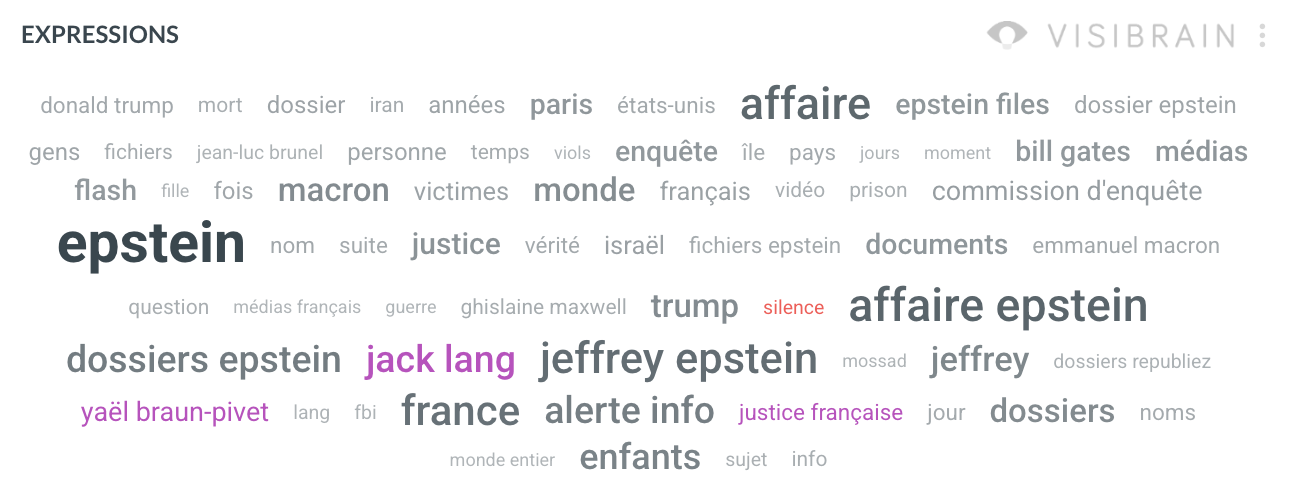visibrain-epstein