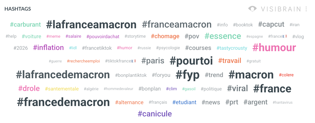 visibrain-hashtags-tiktok