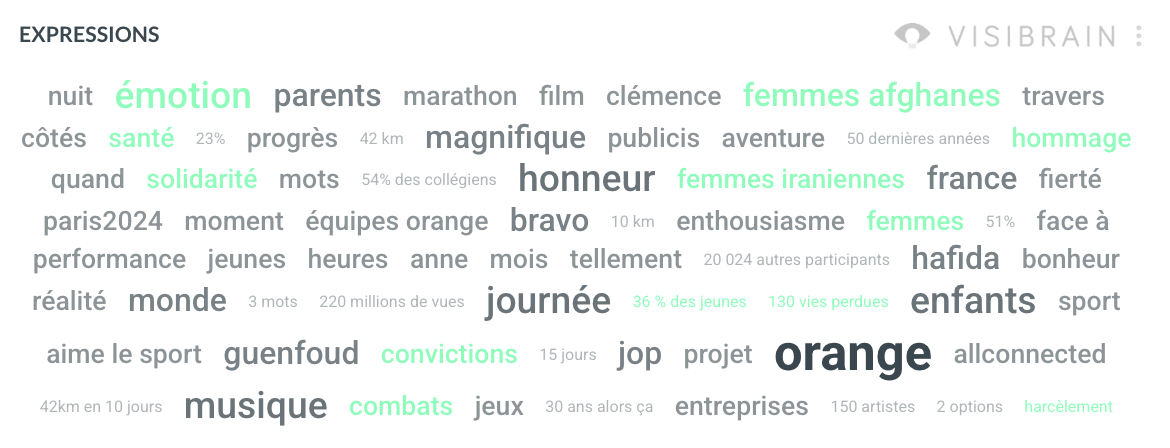 visibrain-linkedin-caroline-orange
