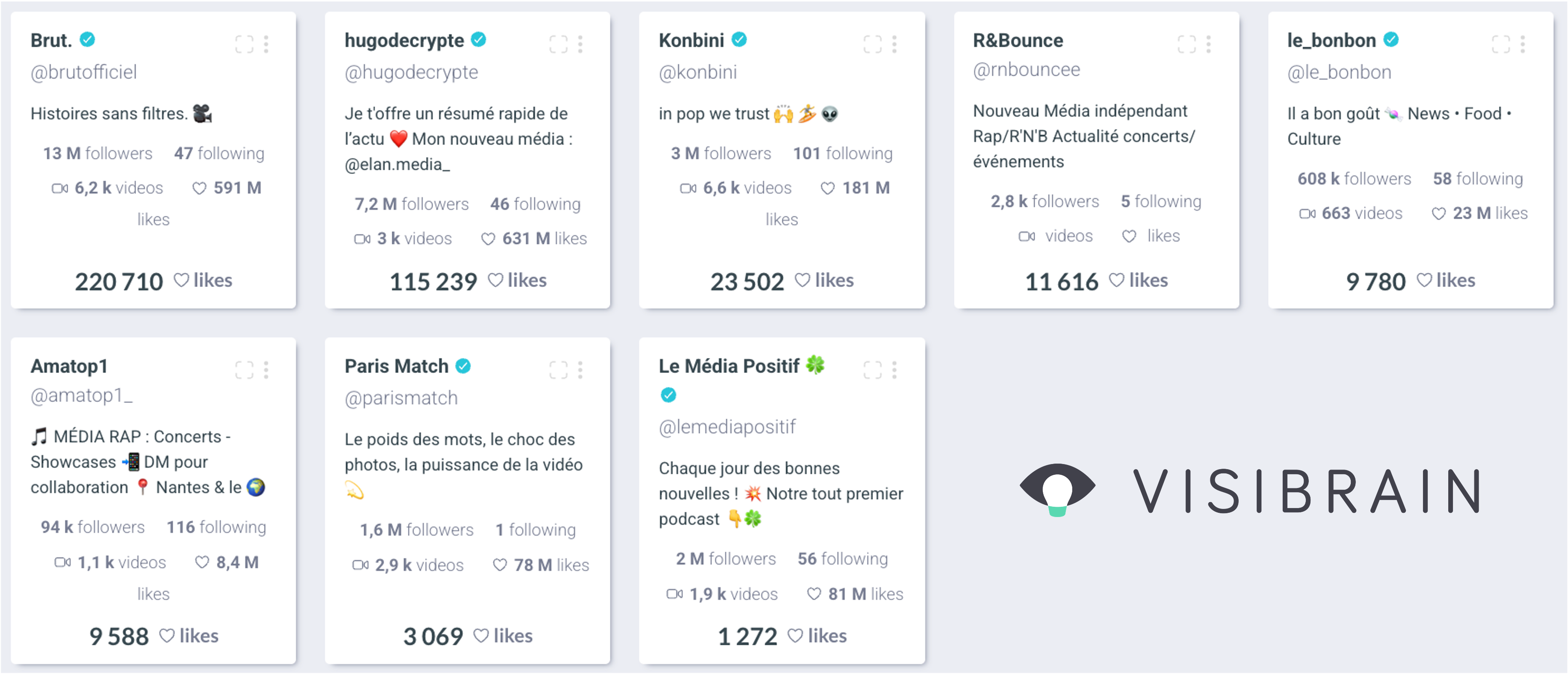 visibrain-medias-tiktok-solidays