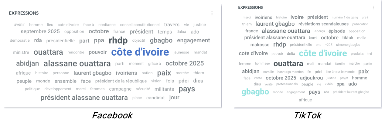 visibrain-mots-cles-fb-tiktok