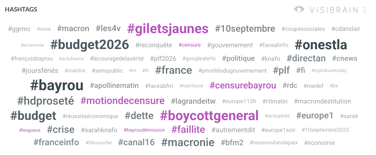 visibrain-top-hashtags-budget