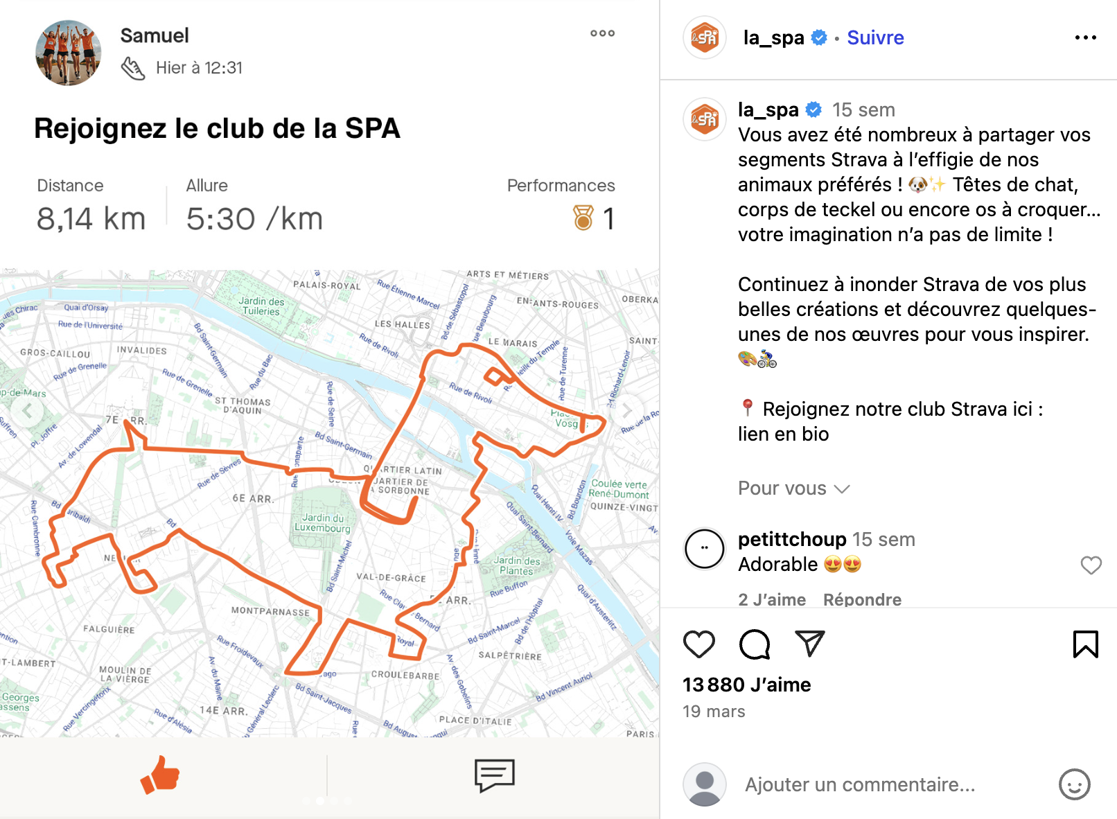 visibrain-trend-strava